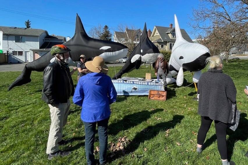 The Canadian Orca Rescue Society, founded in 2016 to help create positive change, announced its new community garden project at Bay and Alston streets in Vic West. (Courtesy of CORS)