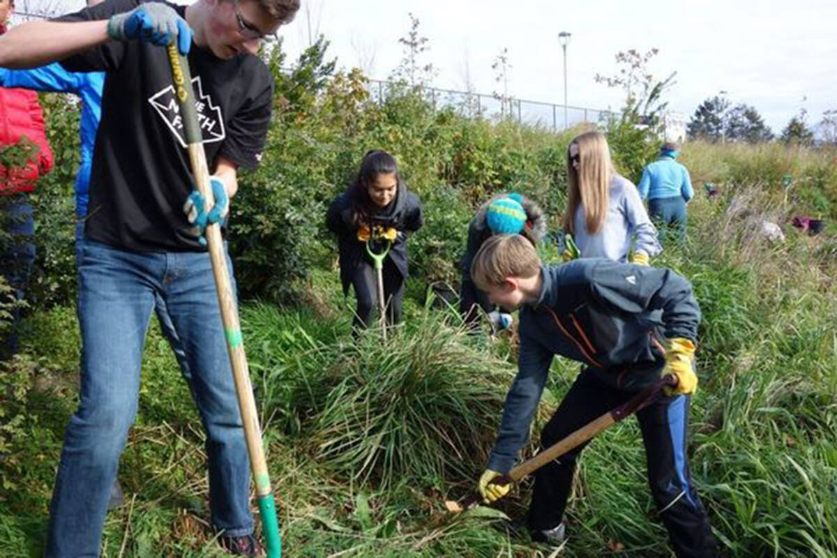 Students from Oak Bay High work with the CRD’s Bowker Creek Initiative and the Greater Victoria Green Team to remove invasive species and plant native plants and shrubs. They’ll be at the creek April 23 for the environment club’s annual clean-up and rubber ducky race. (Courtesy Greater Victoria Green Team)