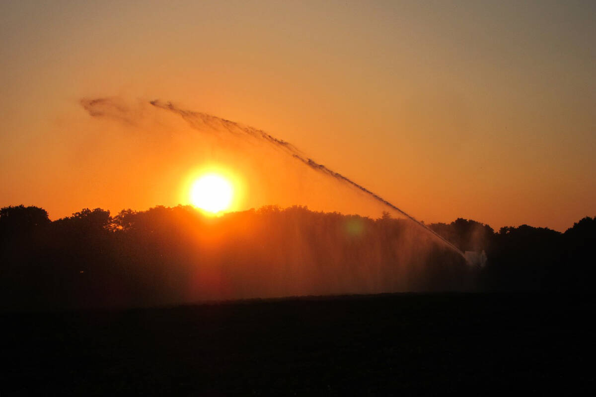 Many cities across B.C. recorded the hottest days of their histories during the ‘heat dome’ heatwave that blanketed much of the Pacific Northwest at the end June, 2021. (File photo)