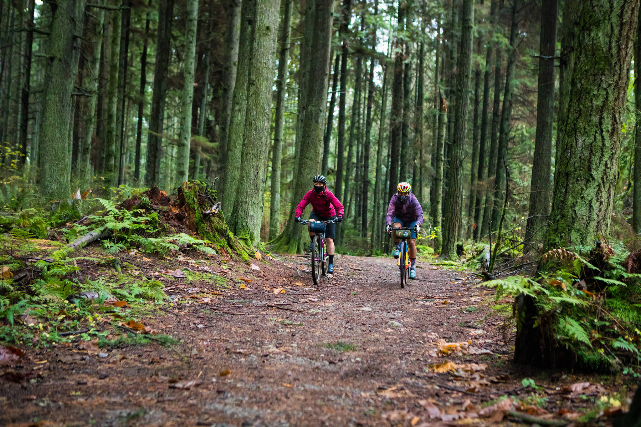 Cyclists ride on the Trans Canada Trail in Capilano River Regioanl Park in North Vancouver. (Trans Canada Trail photo)