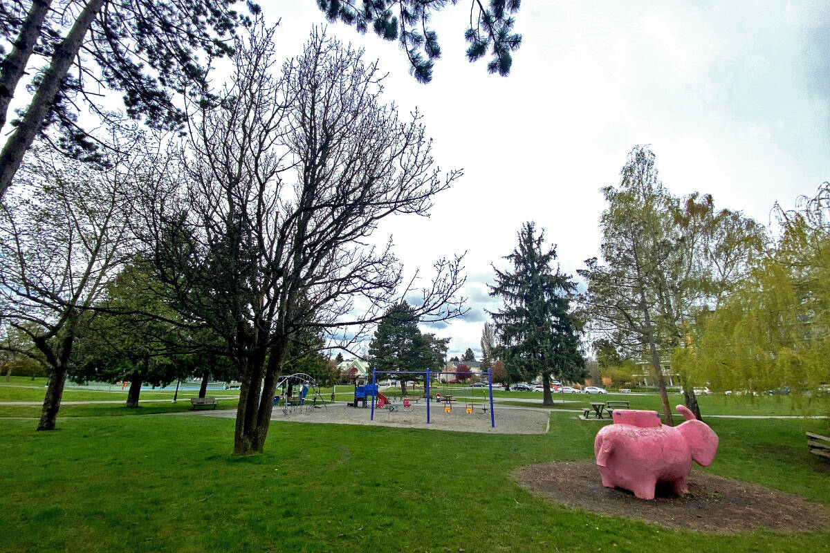 Rutledge Park will receive playground improvements, a new splash pad and washroom and changeroom facilities thanks to joint federal, provincial and municipal funding. (Courtesy of the District of Saanich)