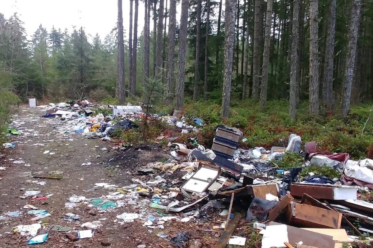 Garbage has been littered along Claymore Road just past the Qualicum Fish Hatchery. (Benjamin Klein-Beekman photo)