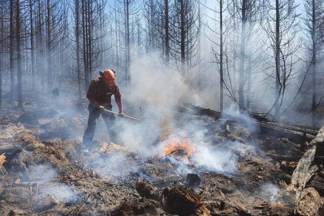 B.C. Wildfire Service firefighter works on the perimeter of a fire in July 2019. (B.C. government)