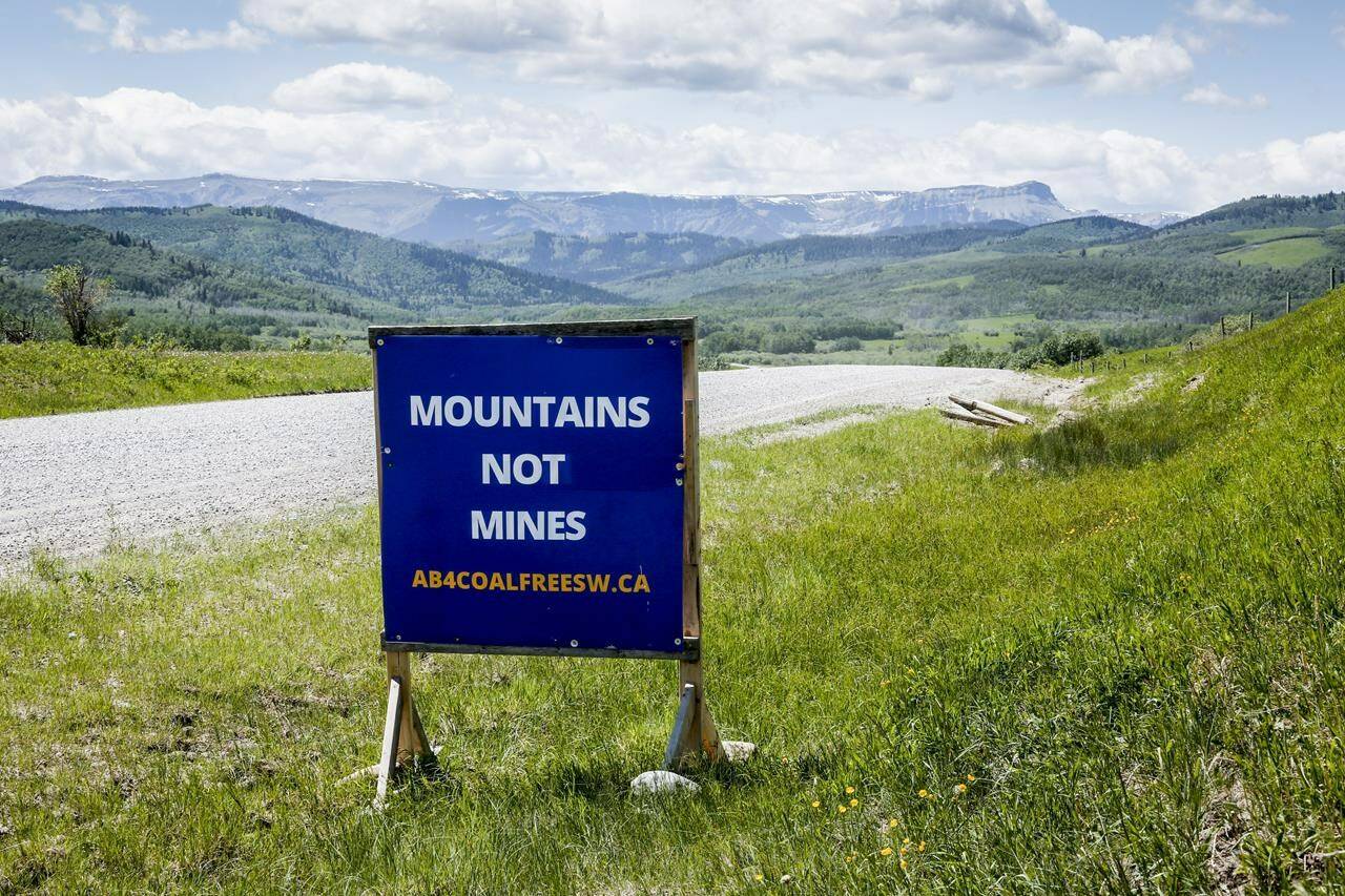 A sign opposing coal development in the eastern slopes of the Livingston range south west of Longview, Alta., Wednesday, June 16, 2021.THE CANADIAN PRESS/Jeff McIntosh