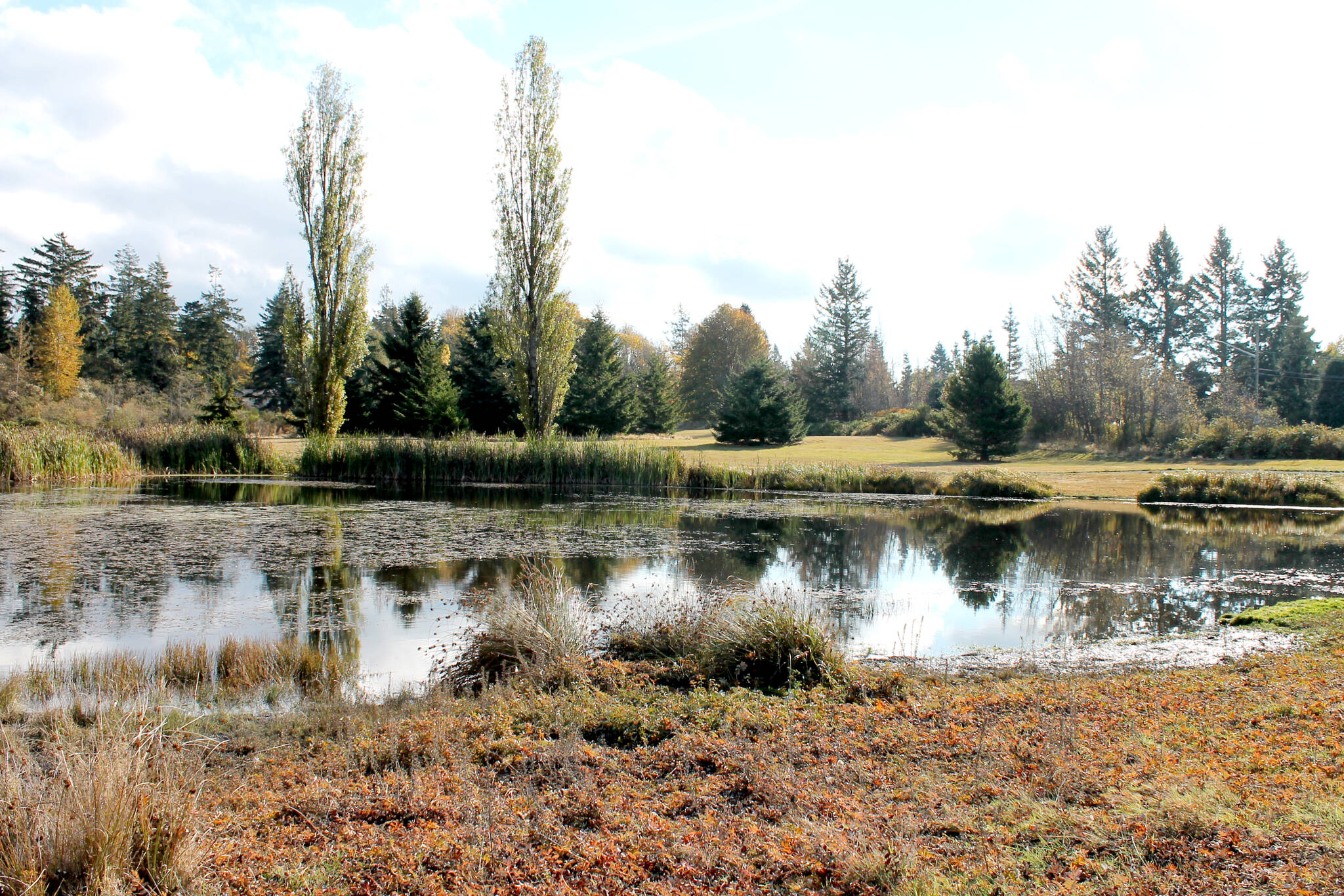 The District of Sooke is adding a parking lot at John Phillips Memorial Park. (File - Sooke News Mirror)