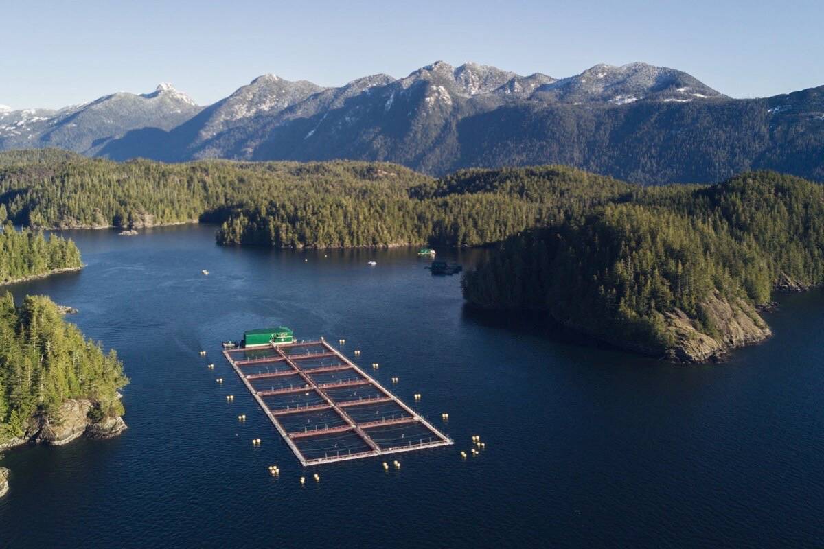 Cermaq Canada and the Ahousaht First Nation have renewed a protocol agreement that will allow salmon farm operations to continue in Clayoquot Sound. (Cermaq Canada photo)