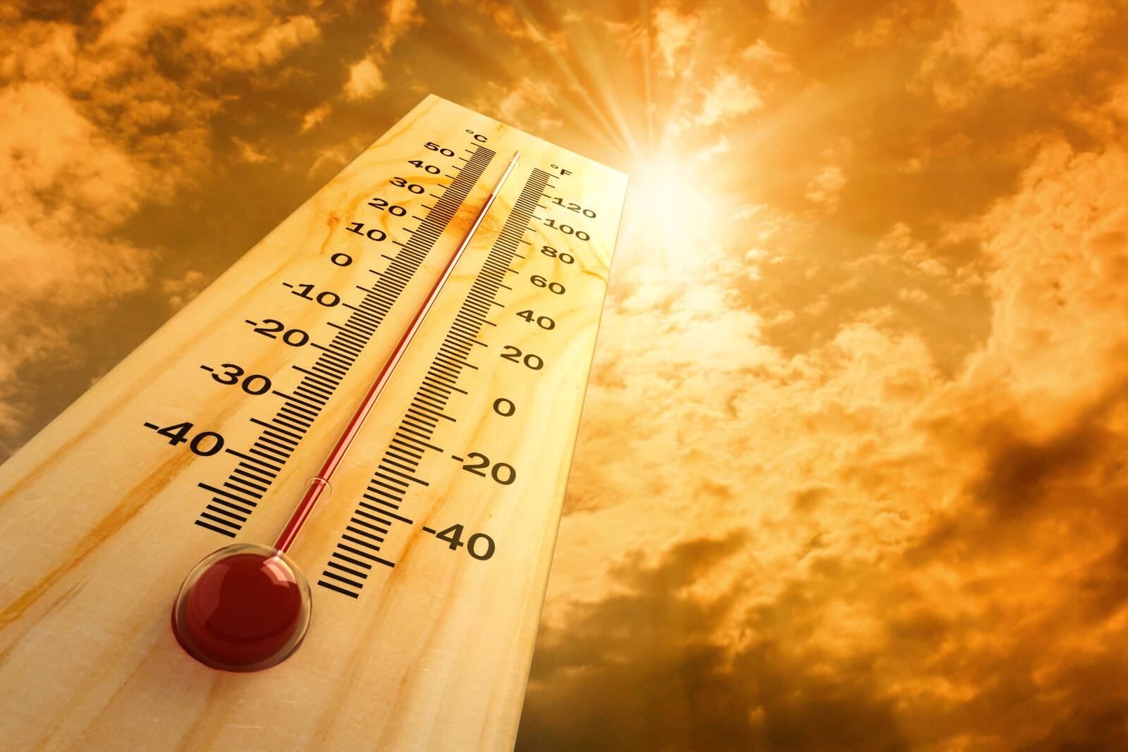 The B.C. Coroners Service reported 719 sudden deaths during last summer’s heat wave, triple the number that would typically be expected in the province in a week. (Shutterstock)