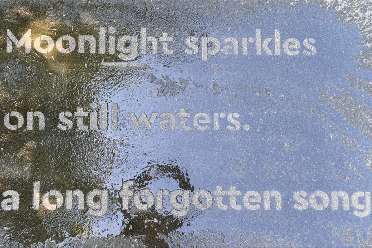 A ‘Hidden Messages’ poem applied in hydrophobic material that only appears when wet. This haiku, written by Nanaimo’s poet laureate, Kamal Parmar, was installed along the Haliburton Road multi-use path in late May. (Submitted photo)