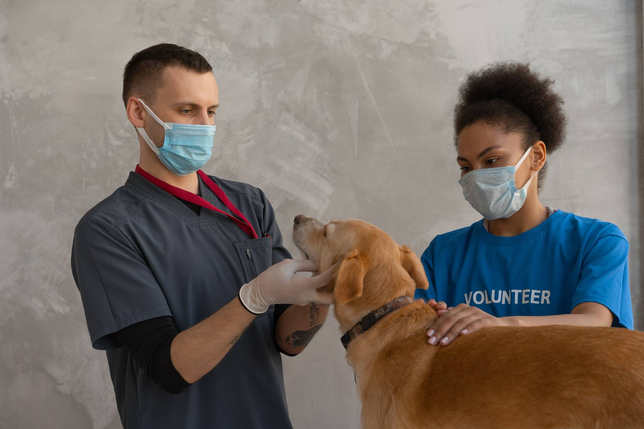 RAPS Animal Hospital is making it easier for Vancouver pet parents to access animal care (photo by Mikhail Nilov/pexels.com).