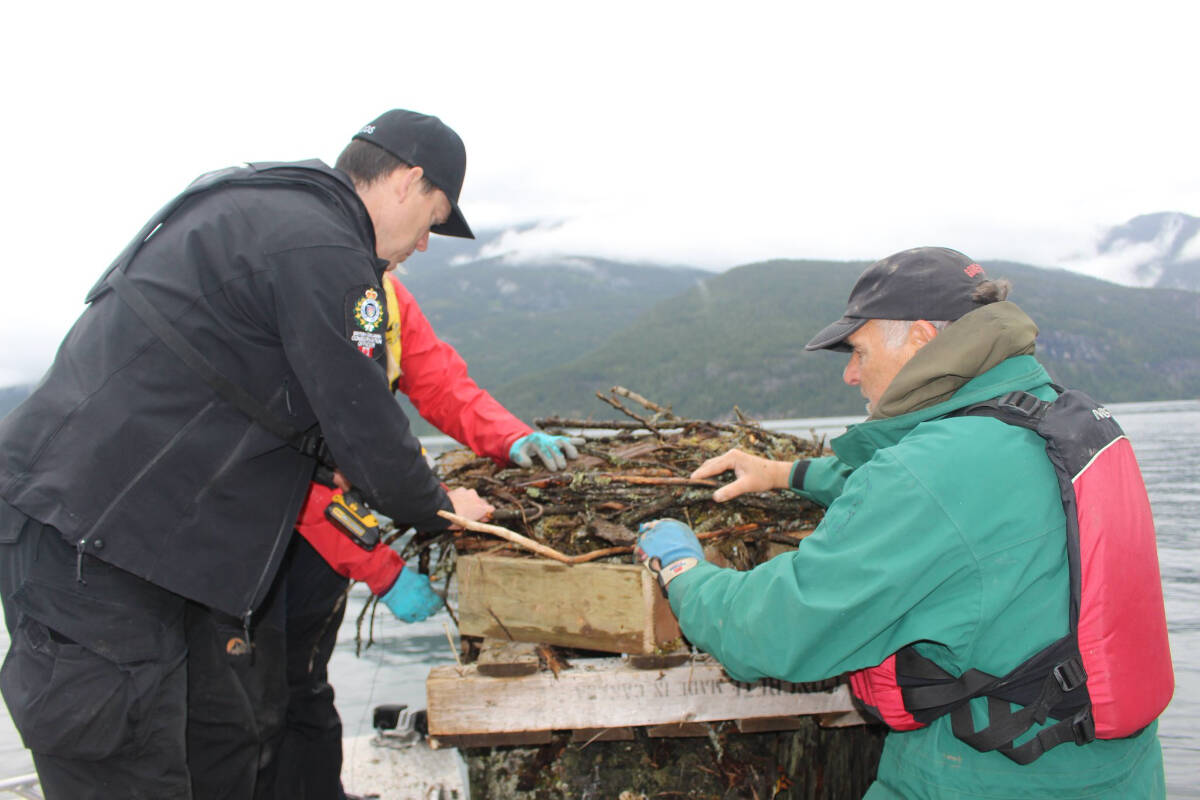 Conservation Officers, biologists, a retired park ranger and a concerned citizen rescued an osprey nest from high water on Kootenay Lake. (BCCOS file)
