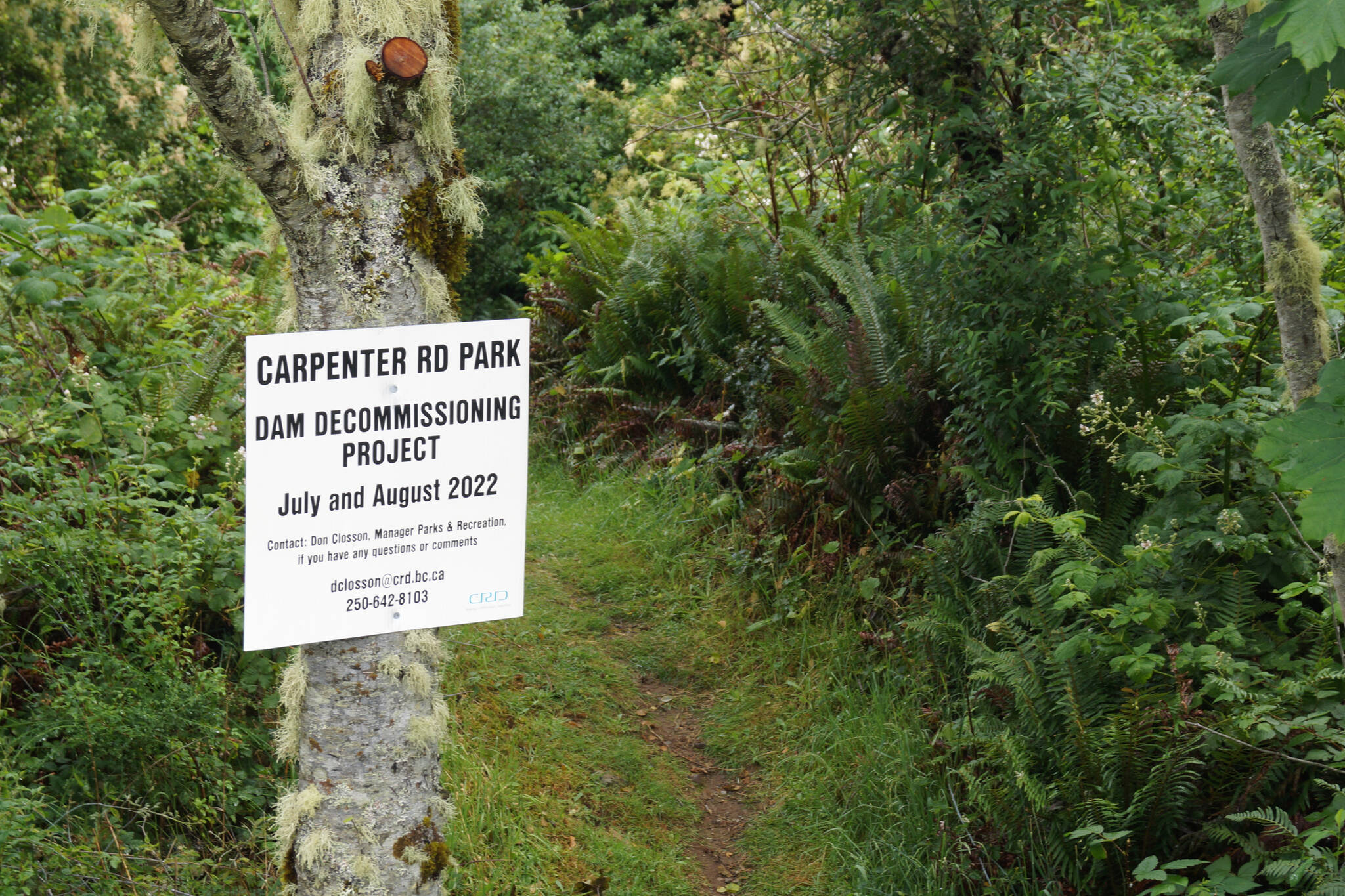 Work to decommission a dam at Carpenter Road Community Park to reduce the risk of flooding is expected to proceed this summer. (Rick Stiebe l- Sooke News Mirror)