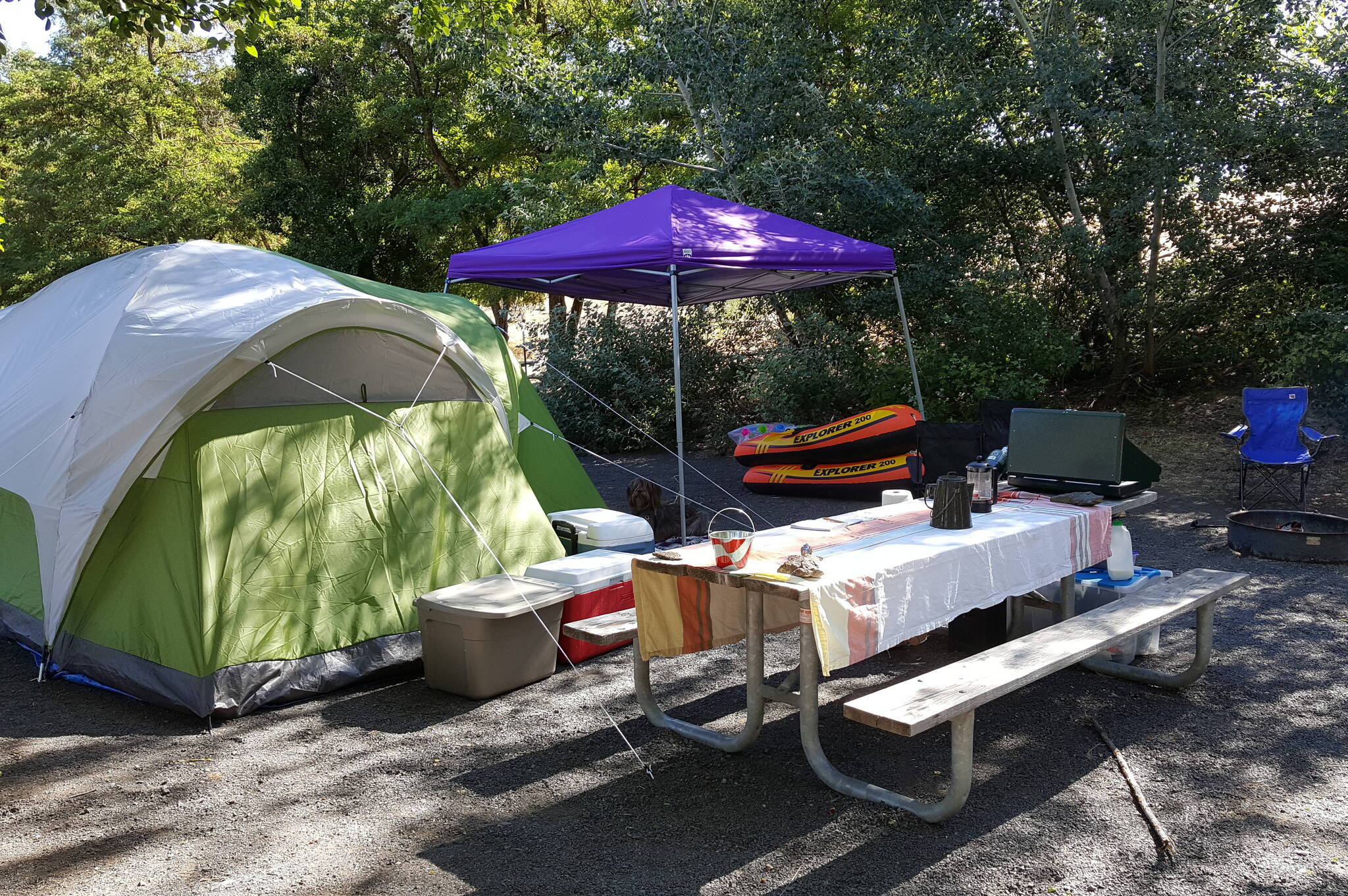 BC Parks expects an increase in campers this Parks Day weekend (file photo).