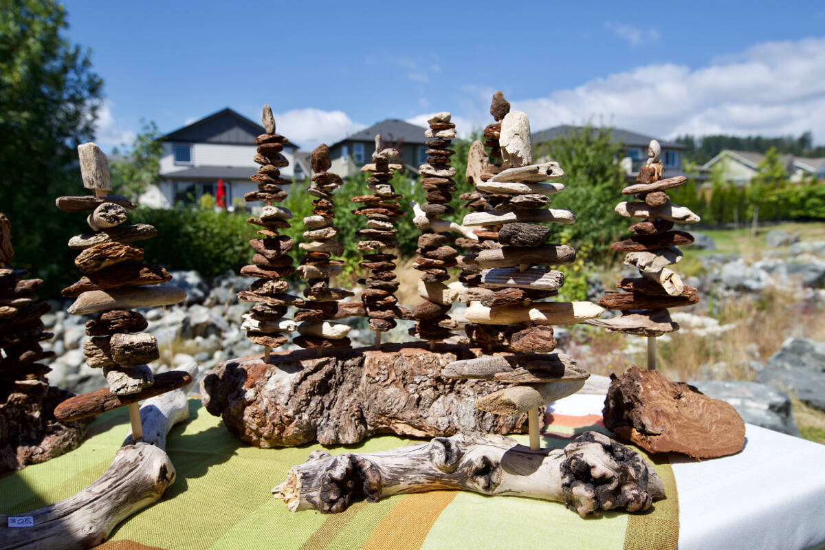 The Arts and Culture Colwood Society held its first summer art show Saturday at Meadow Park. (Justin Samanski-Langille/News Staff)