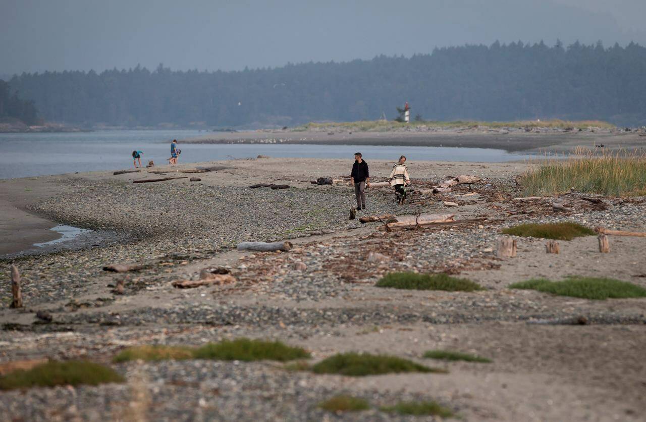 People walk along the shoreline at Sidney Spit in the Gulf Islands National Park Reserve east of Sidney, B.C., on Aug. 5, 2017. Parks Canada has launched new interpretive programming at various locations within the reserve over the summer. (THE CANADIAN PRESS/Darryl Dyck)