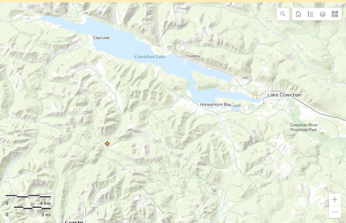 A wildfire is burning west of Cowichan Lake off the Gordon Main. (Screenshot)