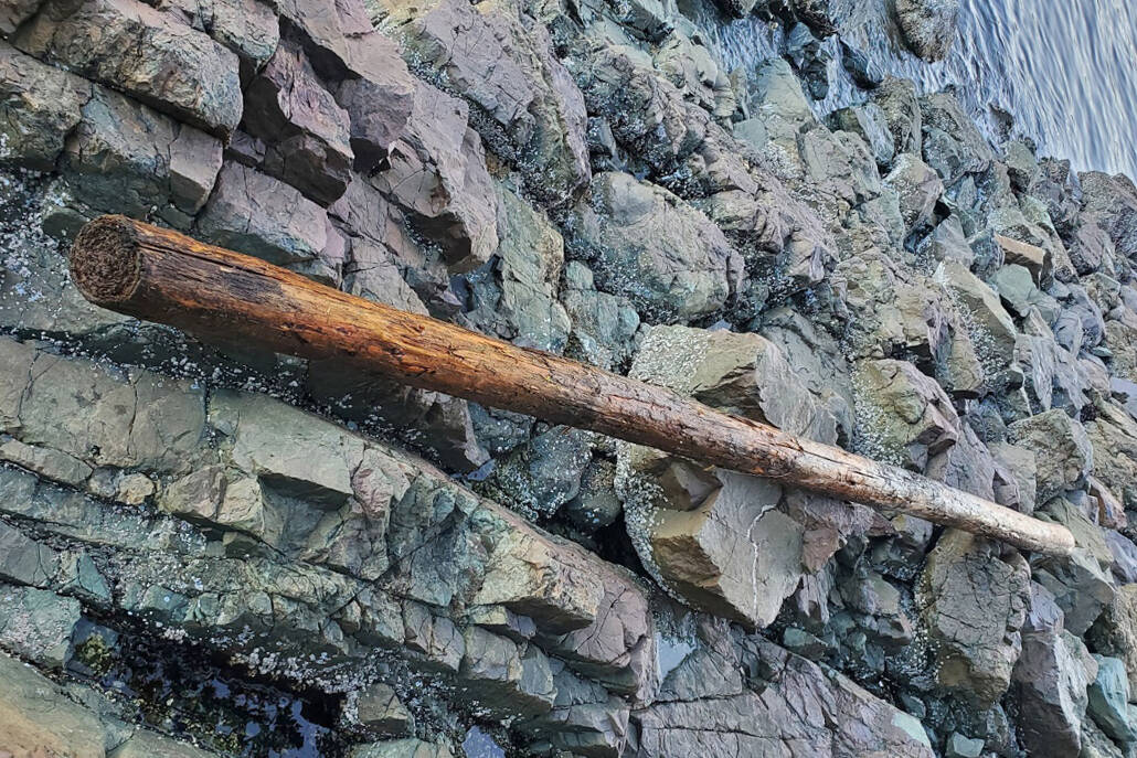 One person was arrested for assault with a weapon after allegedly dropping a log down an embankment on Jesse Island and knocking a kayaker into the water. (Photo submitted)