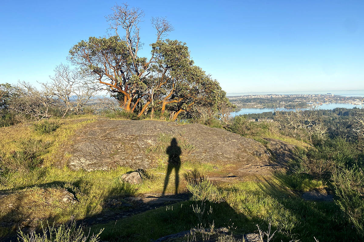 Mill Hill Regional Park has grown by 9.8 hectares after a land deal between the CRD and Town of View Royal. (Black Press Media file photo)
