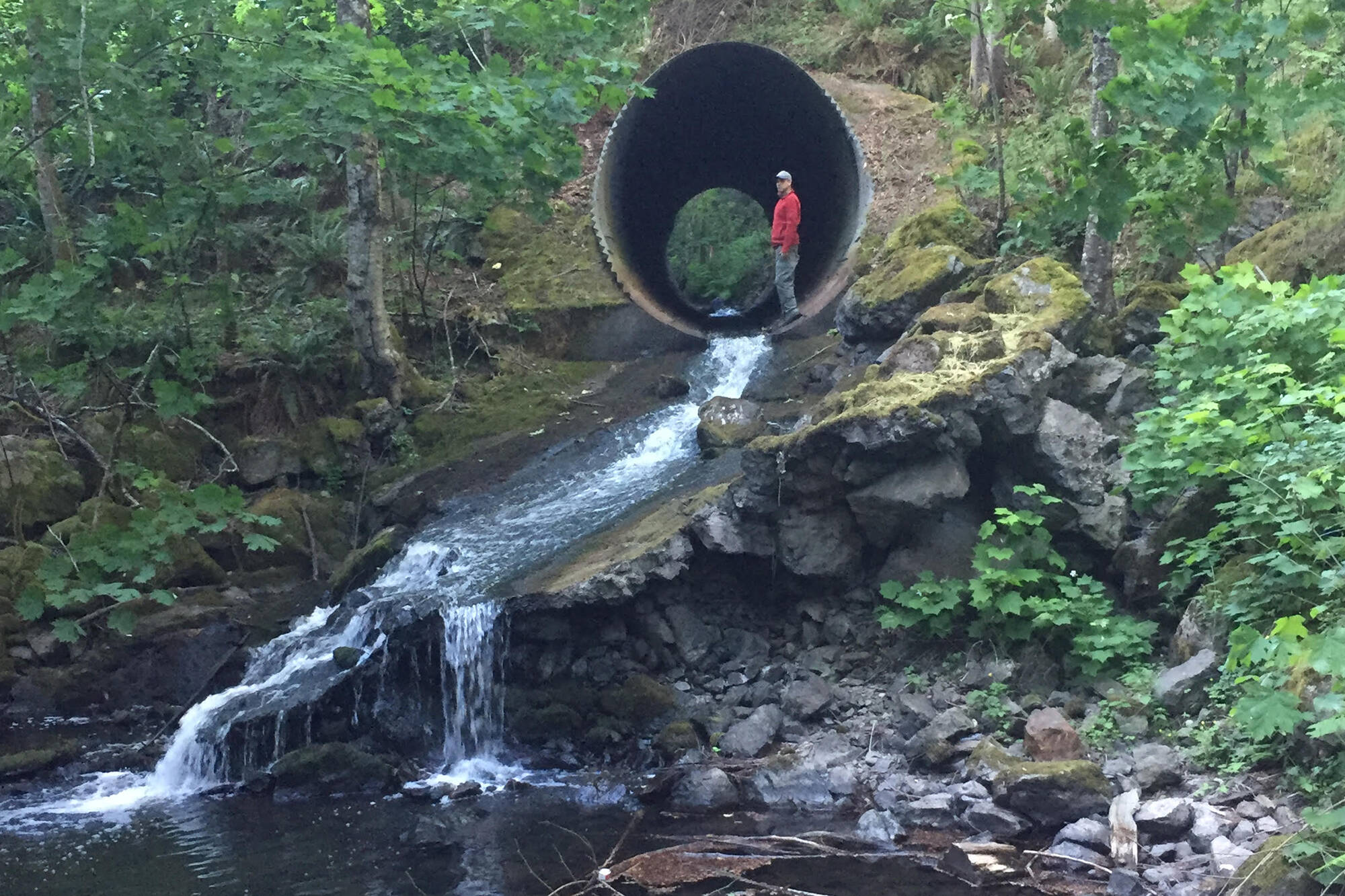 The Atkins Road culvert where a fish ladder has been built along Millstream Creek. The Peninsula Streams Society is hosting a pair of working parties this Saturday and Sunday to prepare the fish ladders for the fall return of fish to the watershed. (Courtesy Peninsula Streams Society)