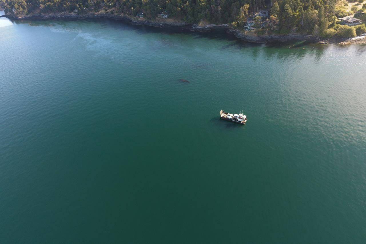 A response vessel with a vacuum truck on board is shown off San Juan Island, Washington, in this recent handout photo. The United States Coast Guard says commercial divers are assessing a sunken fishing boat that went down Saturday in waters on the U.S. side of Haro Strait and is leaking fuel not far from southern Vancouver Island. THE CANADIAN PRESS/HO - U.S. Coast Guard