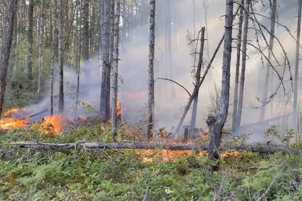 A fire burns in the woods near Nanaimo River on Wednesday, Aug. 24. (Photo credit Chad Borrows)