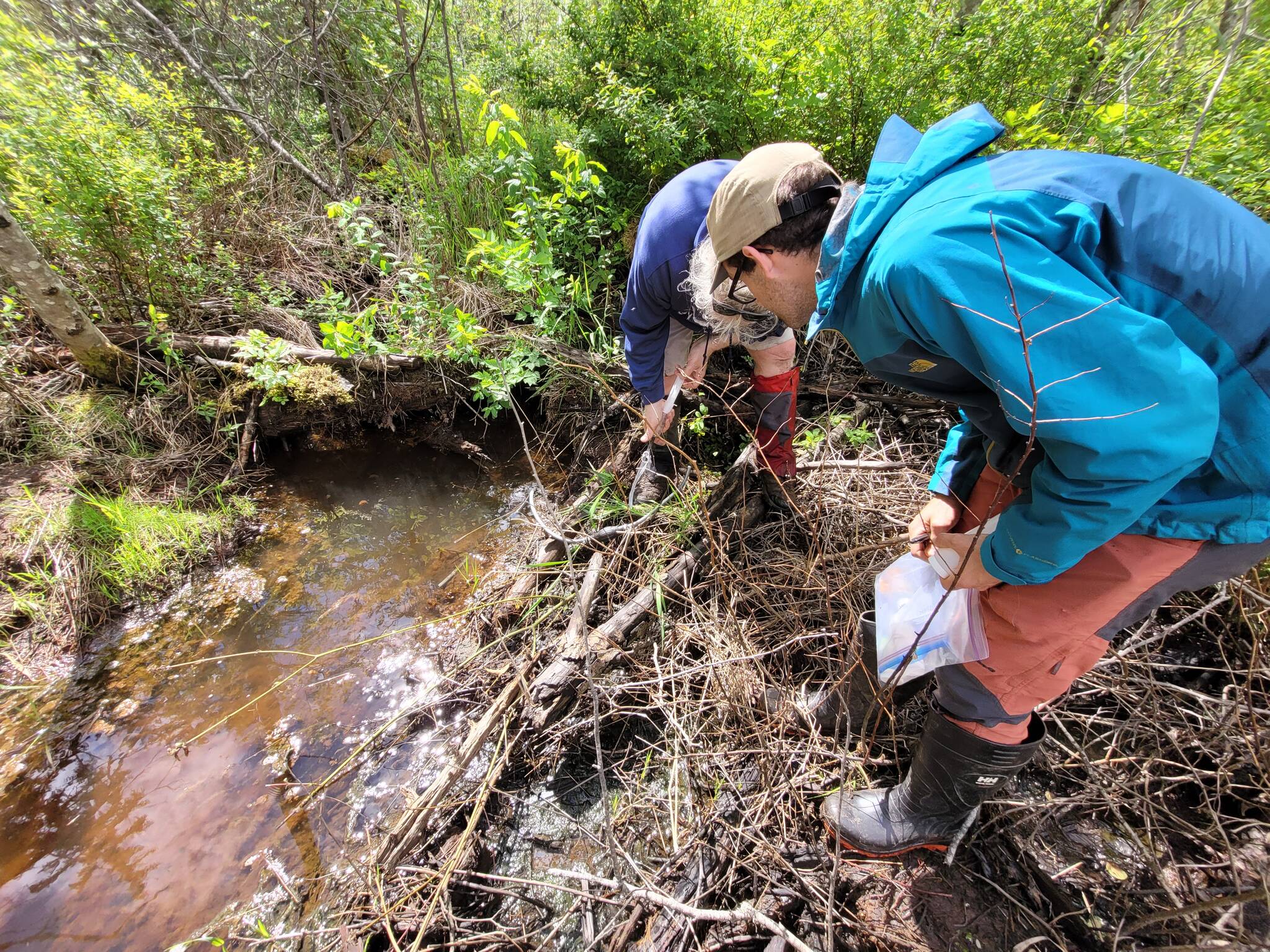 Fieldwork undertaken by Kitselas Geothermal to explore the feasibility of a geothermal power project at Lakelse Lake. (Photo courtesy Kitselas Geothermal)