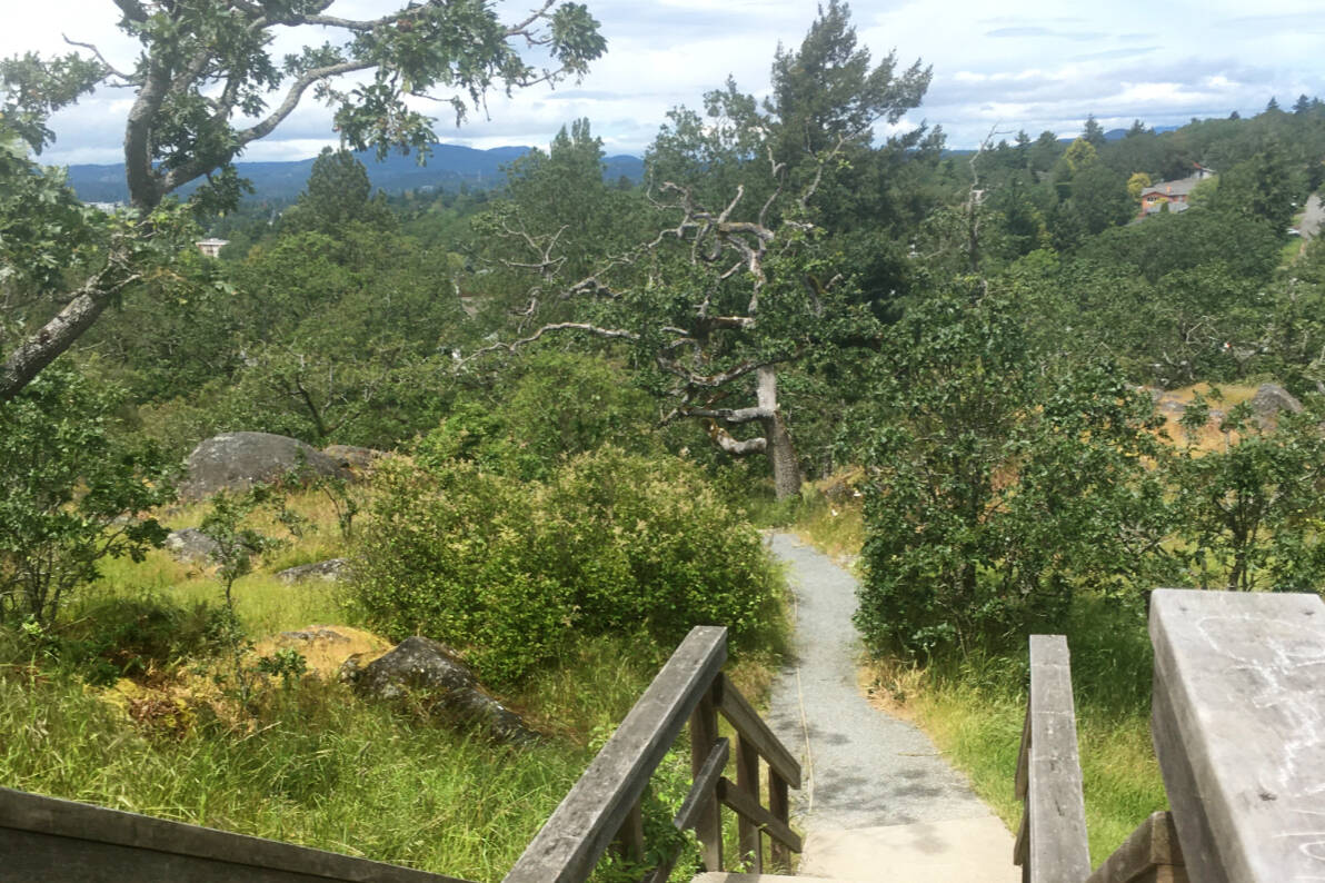 The stairs in Summit Park in Victoria offer a great fitness opportunity as walking deemed a popular activity among British Columbians. (Christine van Reeuwyk/News Staff)
