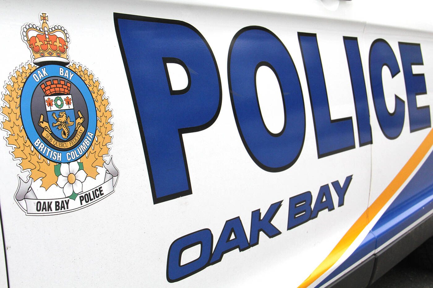 A driver faces a fine and demerit points for running a red light and hitting a pedestrian. (Black Press Media file photo)