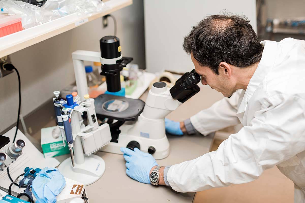 A cancer researcher conducts lab work for the BC Cancer Foundation. On Wednesday (Sept. 21), the foundation announced the launch of a $500 million fundraising campaign. (Photo courtesy of BC Cancer Foundation)