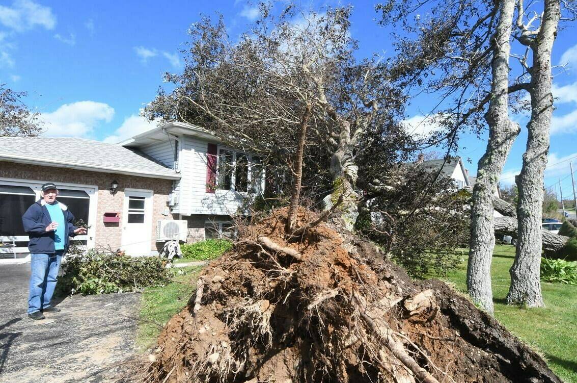 Homeowner George MacDonald describes the moment when several trees landed on his home in Glace Bay, Nova Scotia on Sunday September 25, 2022. A day after post-tropical storm Fiona left a trail of destruction through Atlantic Canada and eastern Quebec, residents of a coastal town in western Newfoundland continued to pick through wreckage strewn across their community, easily the most damaged area in the region. THE CANADIAN PRESS/Vaughan Merchant