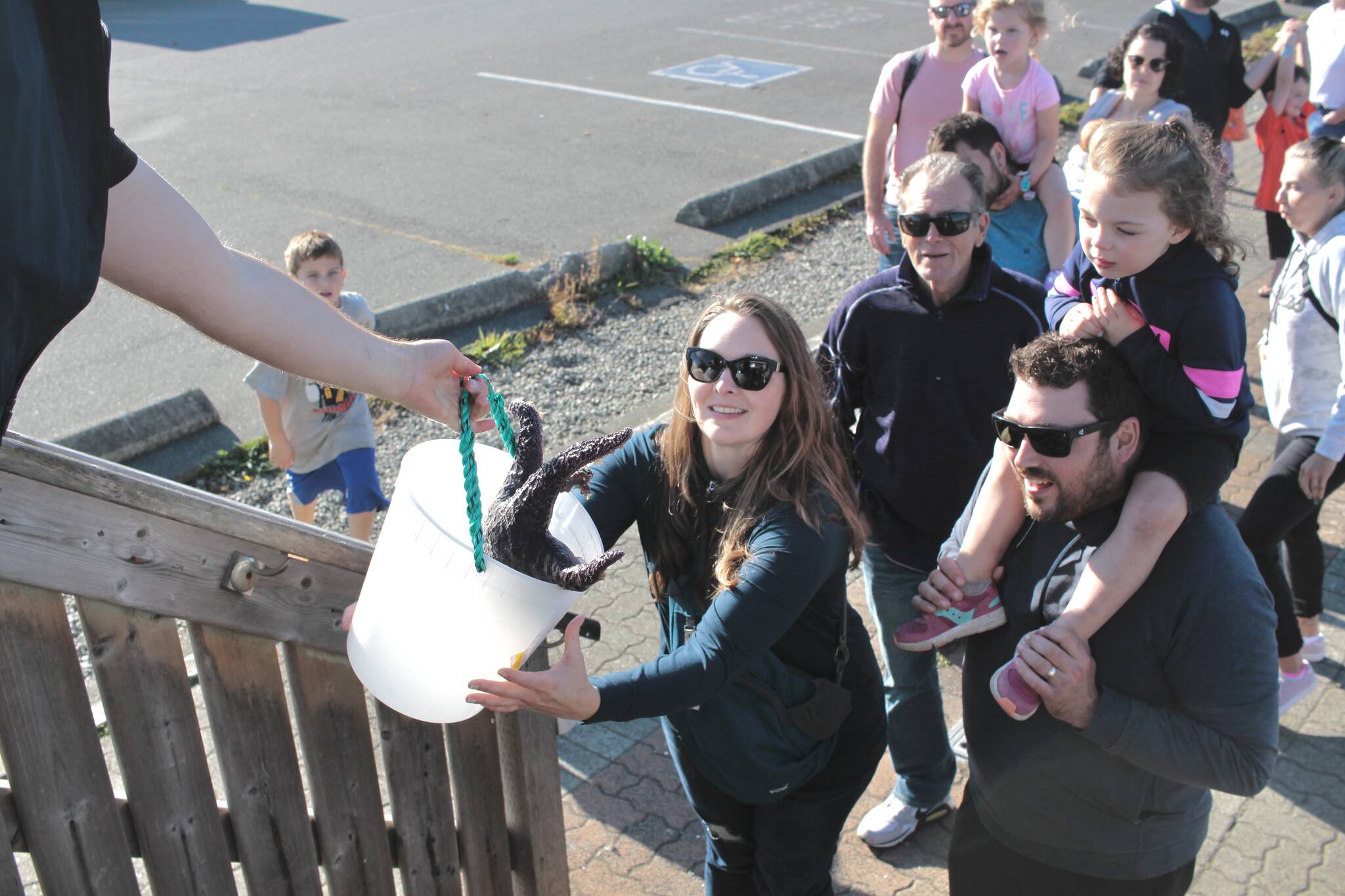 Ricky Belanger (left) hands Serena Sirignano a large sea star to be released into the ocean. Photo by Marc Kitteringham/Campbell RIver Mirror