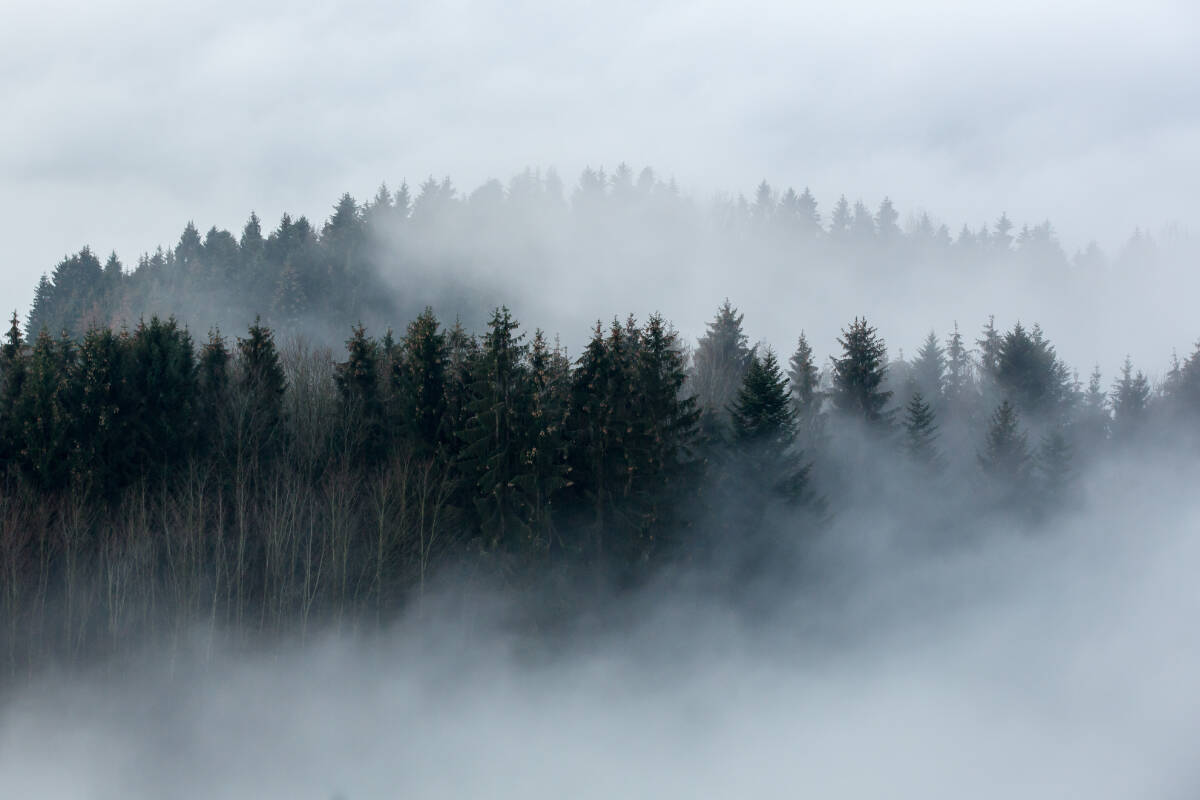 A draft strategic plan for the Juan de Fuca Electoral Area has been released by the Capital Regional District. (Photo by Sebastian Jakob)