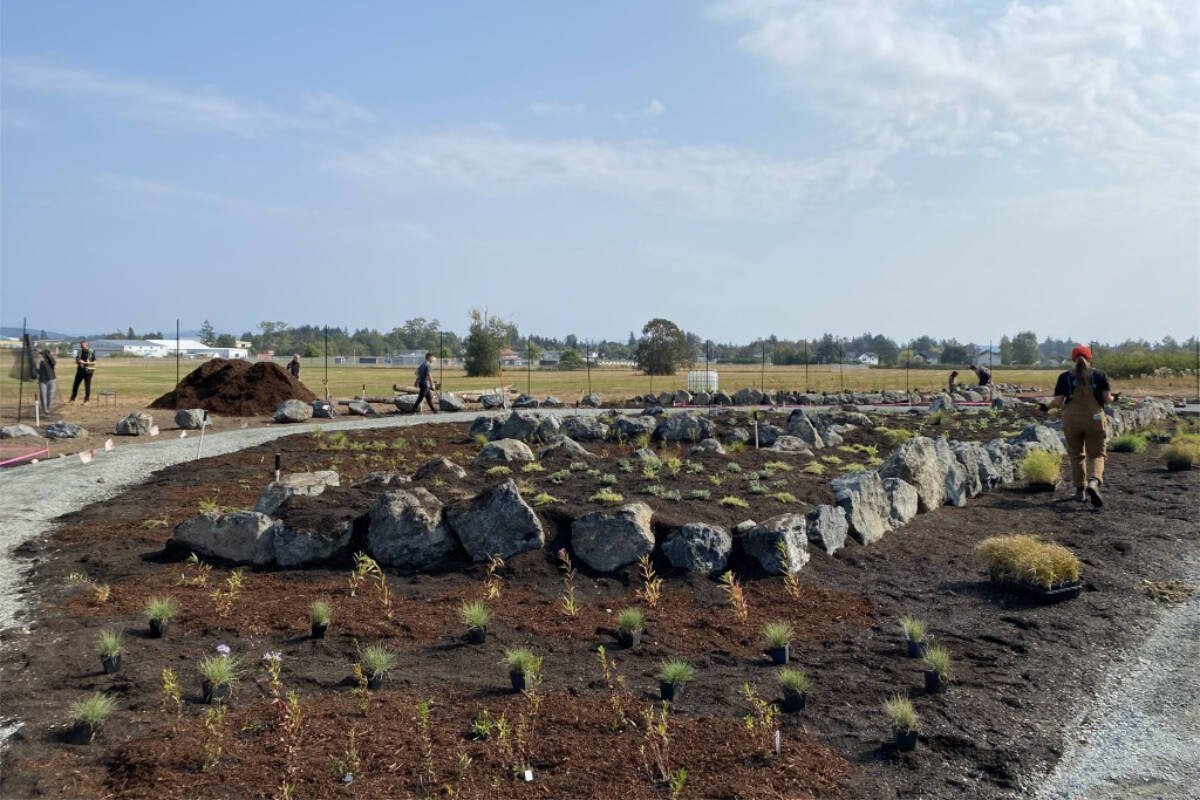 The Victoria International Airport has a new garden on the property aimed at supporting critical pollinators in the environment. (Courtesy Victoria Airport Authority)