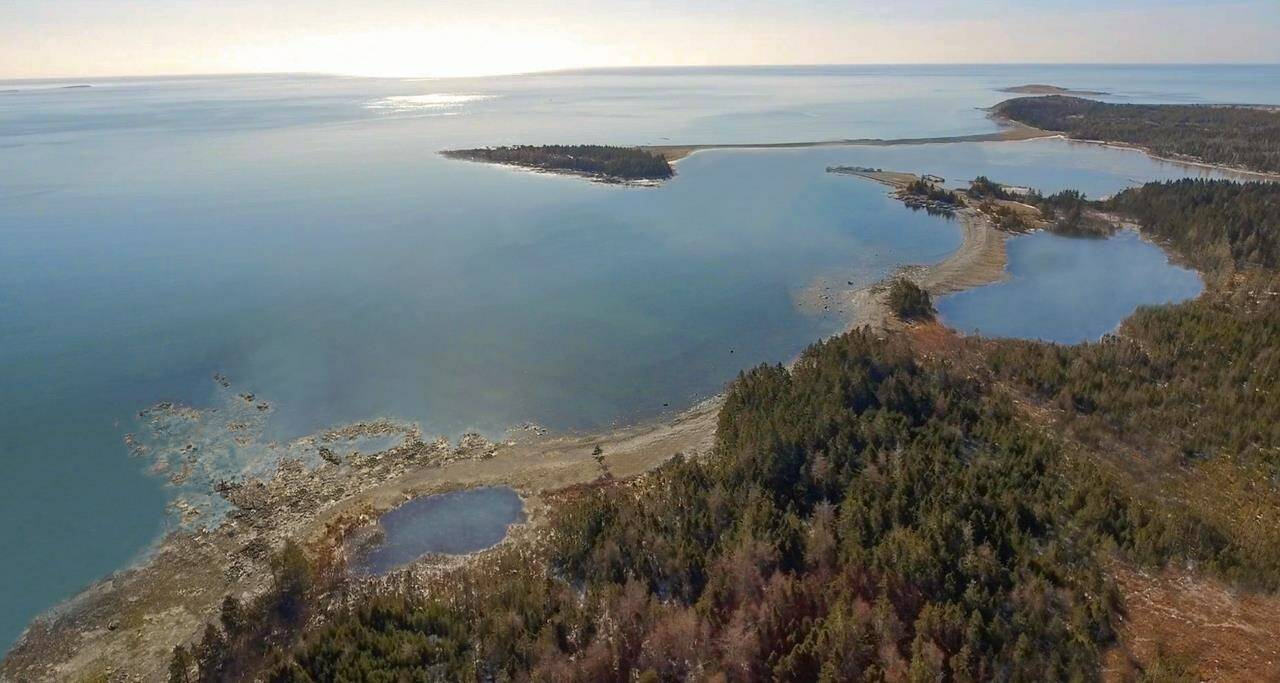 The location of the future whale sanctuary. (Image courtesy of The Whale Sanctuary Project)