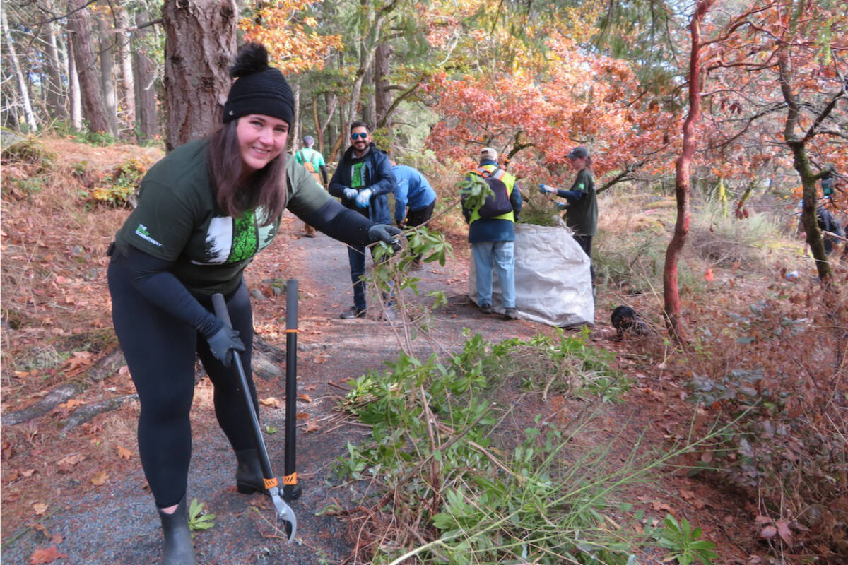 Volunteers removed the equivalent of 75 bathtubs worth of invasive species from View Royal’s Nursery Hill Park on Saturday (Courtesy Greater Victoria Green Team)