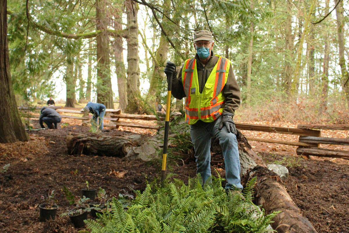Friends of Mount Douglas Park Society president Darrell Wick plants trees alongside volunteers during a 2020 tree appreciation event in Saanich. (Black Press Media file photo)