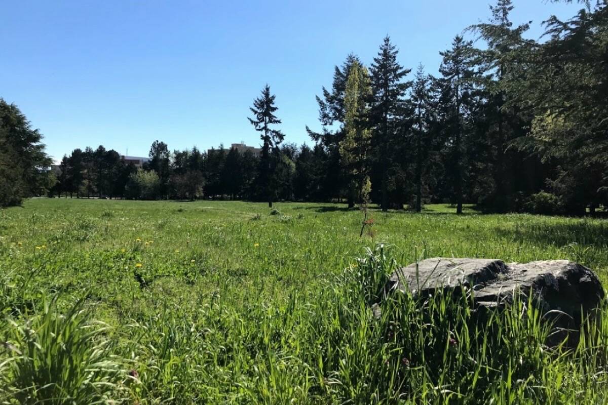 The District of Saanich is inviting residents to provide their input on a new park along Kings Road through two public engagement events. (Black Press Media file photo)