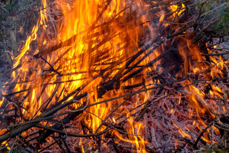 The burning of yard waste is again permitted in Sooke, with some restrictions. (Shutterstock.com)