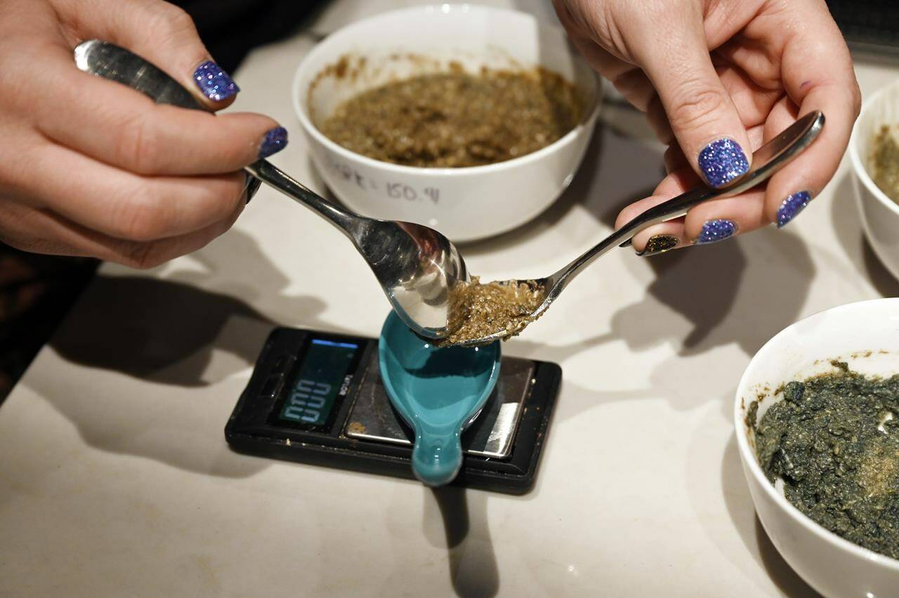 FILE - Rabbi Ben Gorelick, measures out a precise amount Sacrament, psilocybin mushrooms, during Sacred Tribe Sacrament ceremony at the Synagogue, his home, on Nov. 6, 2021, in Denver. Colorado voters are deciding whether theirs will be the second state, after Oregon, to decriminalize psychedelic mushrooms for those 21 and older. A ballot measure would create state-regulated “healing centers” for patients to experience the drug. (Andy Cross/The Denver Post via AP, File)