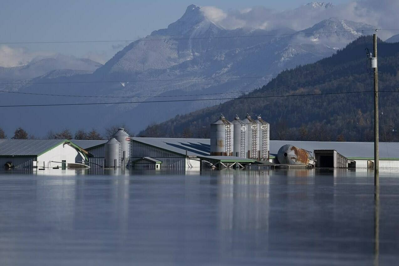 A farm submerged by flood waters caused by heavy rains and mudslides earlier in the week is pictured in the Sumas Prairies near Chilliwack, B.C., Friday, Nov. 19, 2021. British Columbia’s agriculture minister says farmers in the Sumas Prairies had “an emotional year” as they work to recover following the province’s catastrophic flooding last November. THE CANADIAN PRESS/Jonathan Hayward
