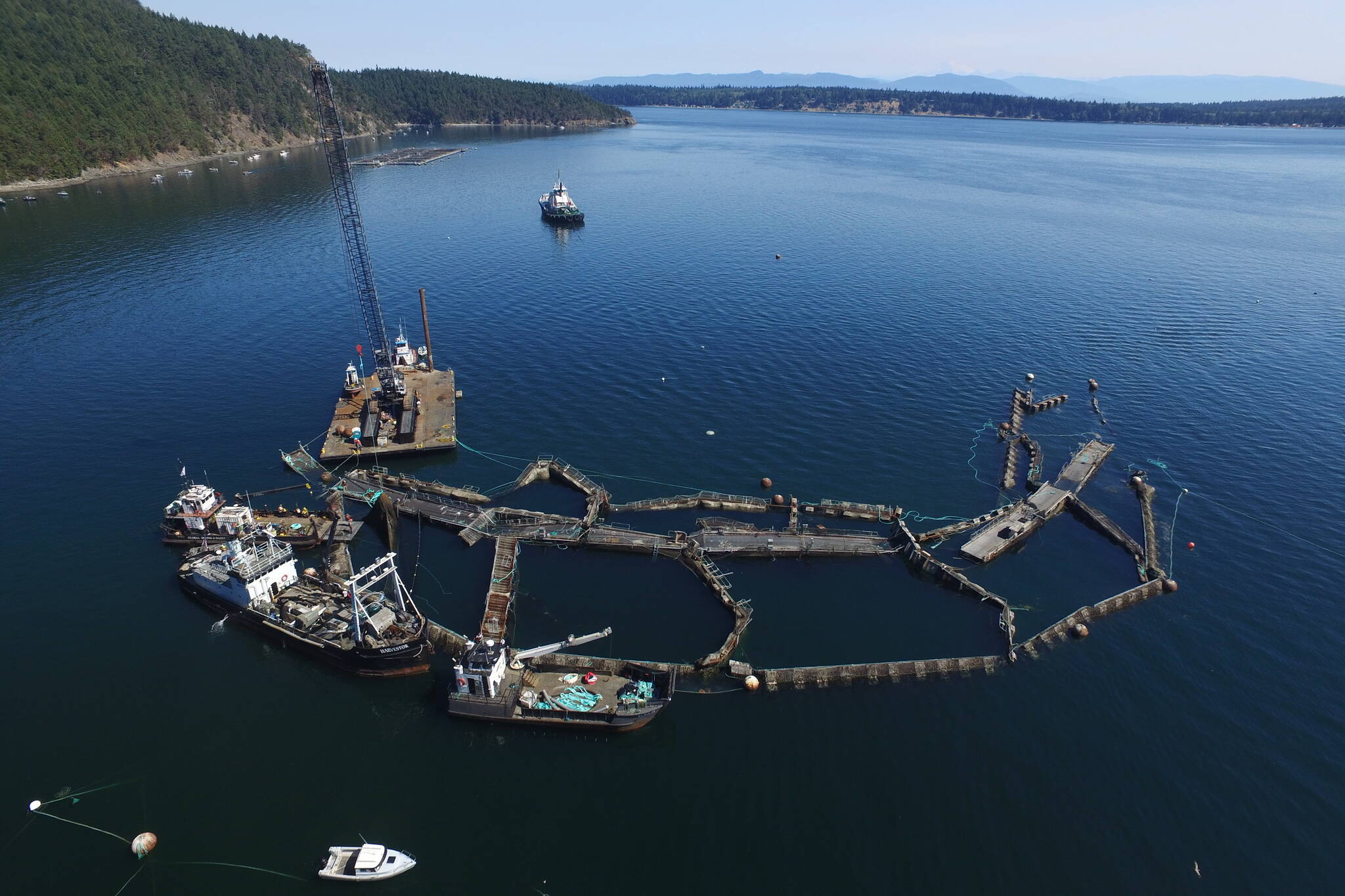 FILE - In this photo provided by the Washington State Department of Natural Resources, a crane and boats are anchored next to a collapsed “net pen” used by Cooke Aquaculture Pacific to farm Atlantic Salmon near Cypress Island in Washington state on Aug. 28, 2017, after a failure of the nets allowed tens of thousands of the nonnative fish to escape. A Washington state jury on Wednesday, June 22, 2022, awarded the Lummi Indian tribe $595,000 over the 2017 collapse of the net pen where Atlantic salmon were being raised, an event that elicited fears of damage to wild salmon runs and prompted the Legislature to ban the farming of the nonnative fish. (David Bergvall/Washington State Department of Natural Resources via AP, File)