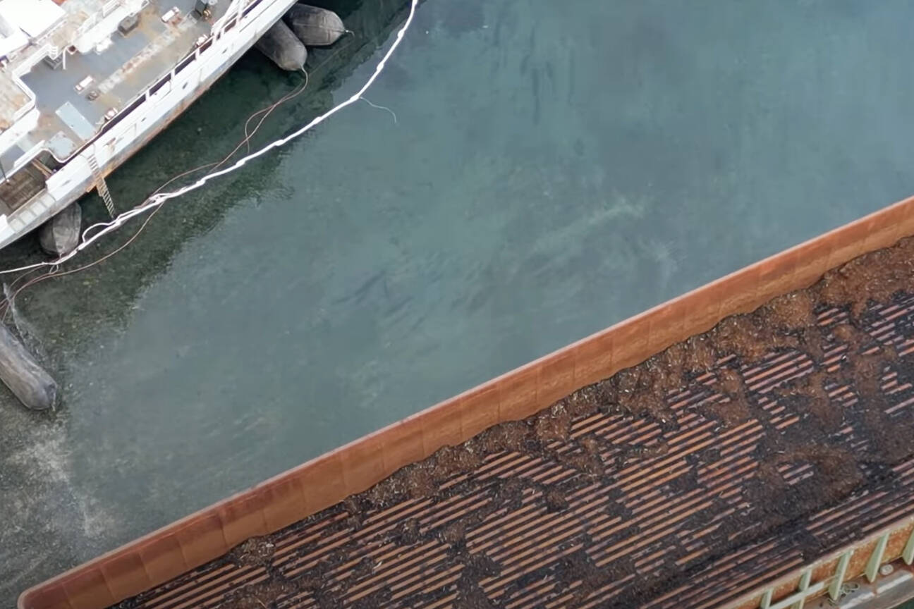 Drone footage shows what appears to be a fluid slick emanating from a vessel precariously docked at the Deep Water Recovery property on the Baynes Sound shoreline.