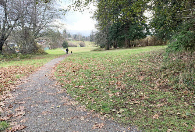 The Sooke Lions Club has paused plans to build a community centre and other public amenities at John Phillips Memorial Park. (District of Sooke)