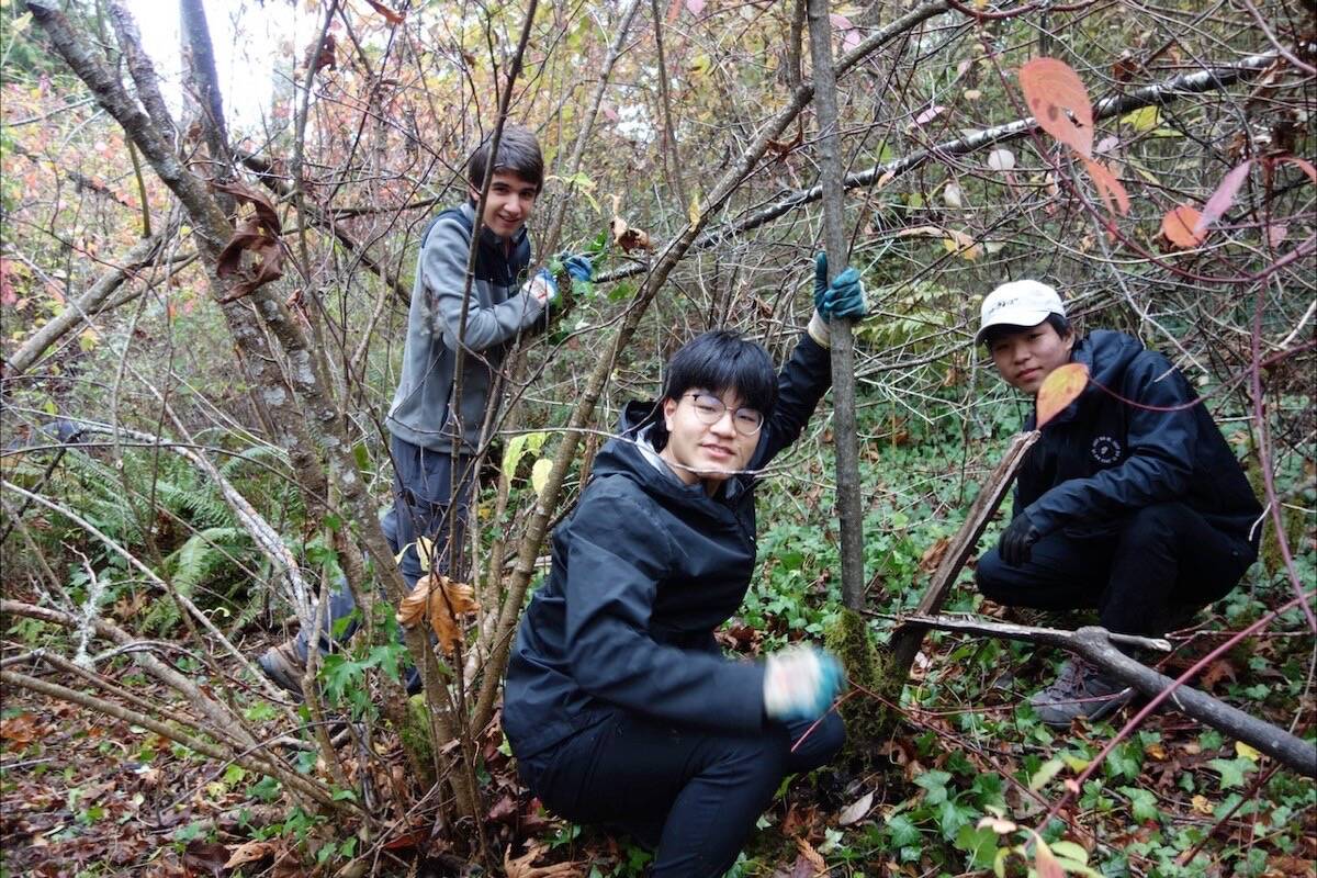 Volunteers work to clear invasive plants from Peter Grant Park in Sidney on Nov. 13. (Courtesy Greater Victoria Green Team)