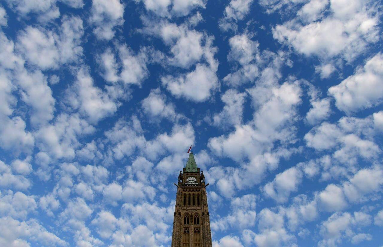 The Peace Tower is seen on Parliament Hill in Ottawa on November 5, 2013. Veteran journalist Dean Beeby says reporters are abandoning the federal Access to Information Act as a research tool because turnaround times are terrible and getting worse.THE CANADIAN PRESS/Sean Kilpatrick