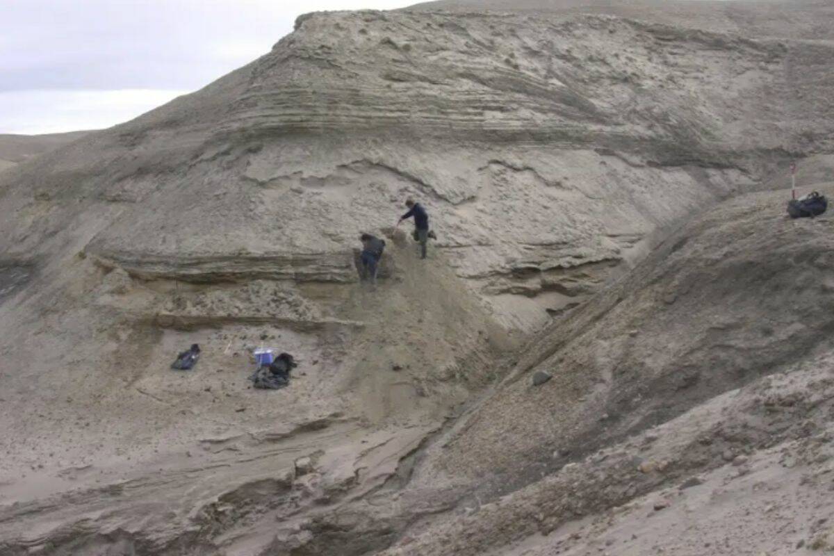 Professors Eske Willerslev and Kurt H. Kjaer expose fresh layers for sampling of sediments at Kap Kobenhavn, Greenland. Scientists have analyzed 2-million-year-old DNA extracted from dirt samples in the area, revealing an ancient ecosystem unlike anything seen on Earth today, including traces of mastodons and horseshoe crabs roaming the Arctic. (Svend Funder via AP)