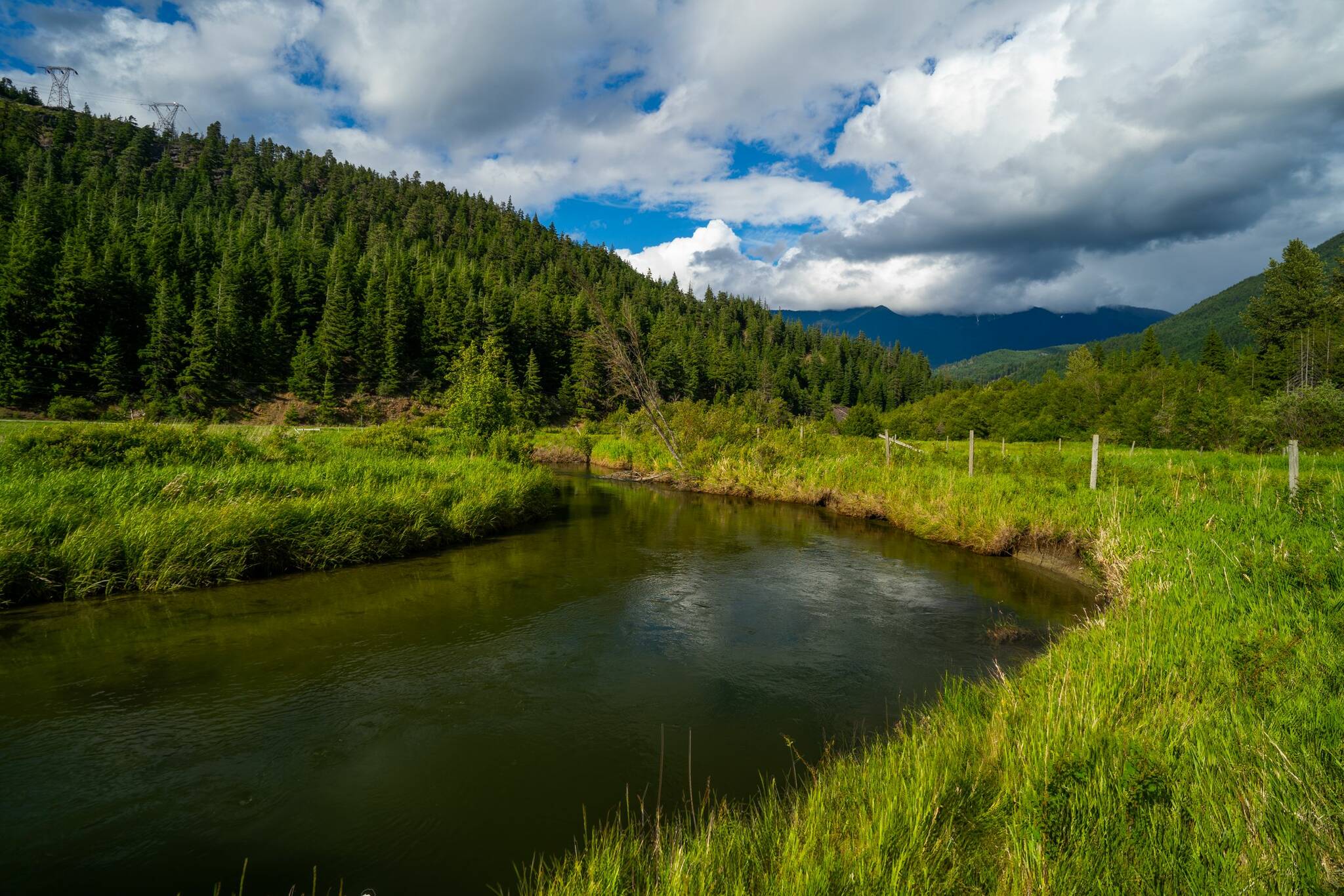 (Nature Conservancy of Canada handout photo)