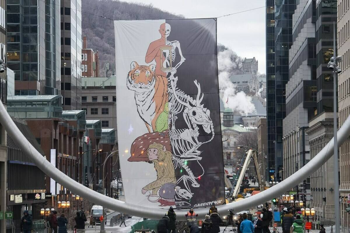 Greenpeace activists hoist a banner titled “Protect Nature, Protect Life,” in Montreal, Thursday, December 8, 2022, as COP15, the UN Biodiversity Conference, continues. THE CANADIAN PRESS/Graham Hughes