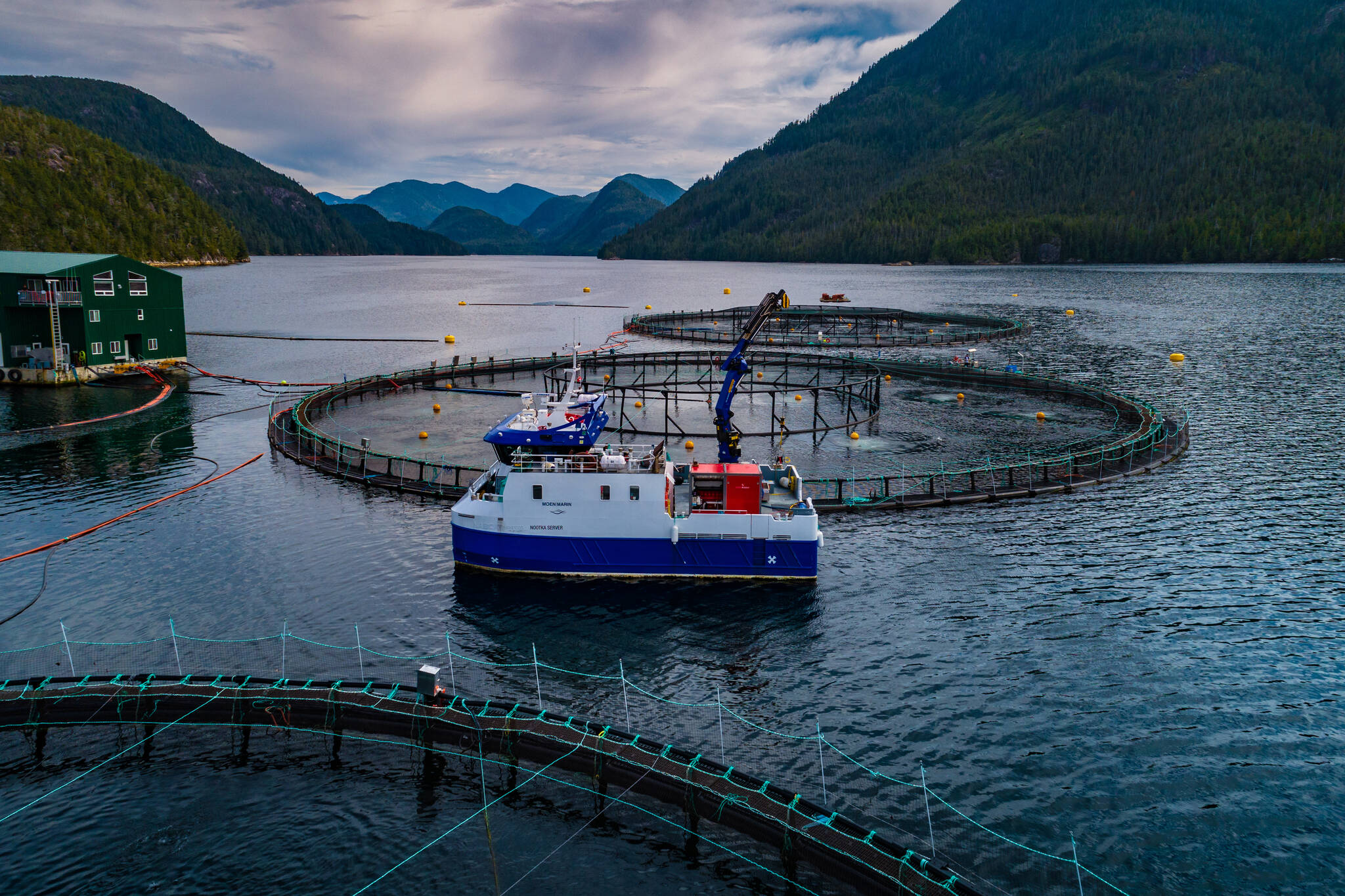 Aquaculture will be one of the key focus areas of the study. (Photo courtesy Grieg Seafood BC)