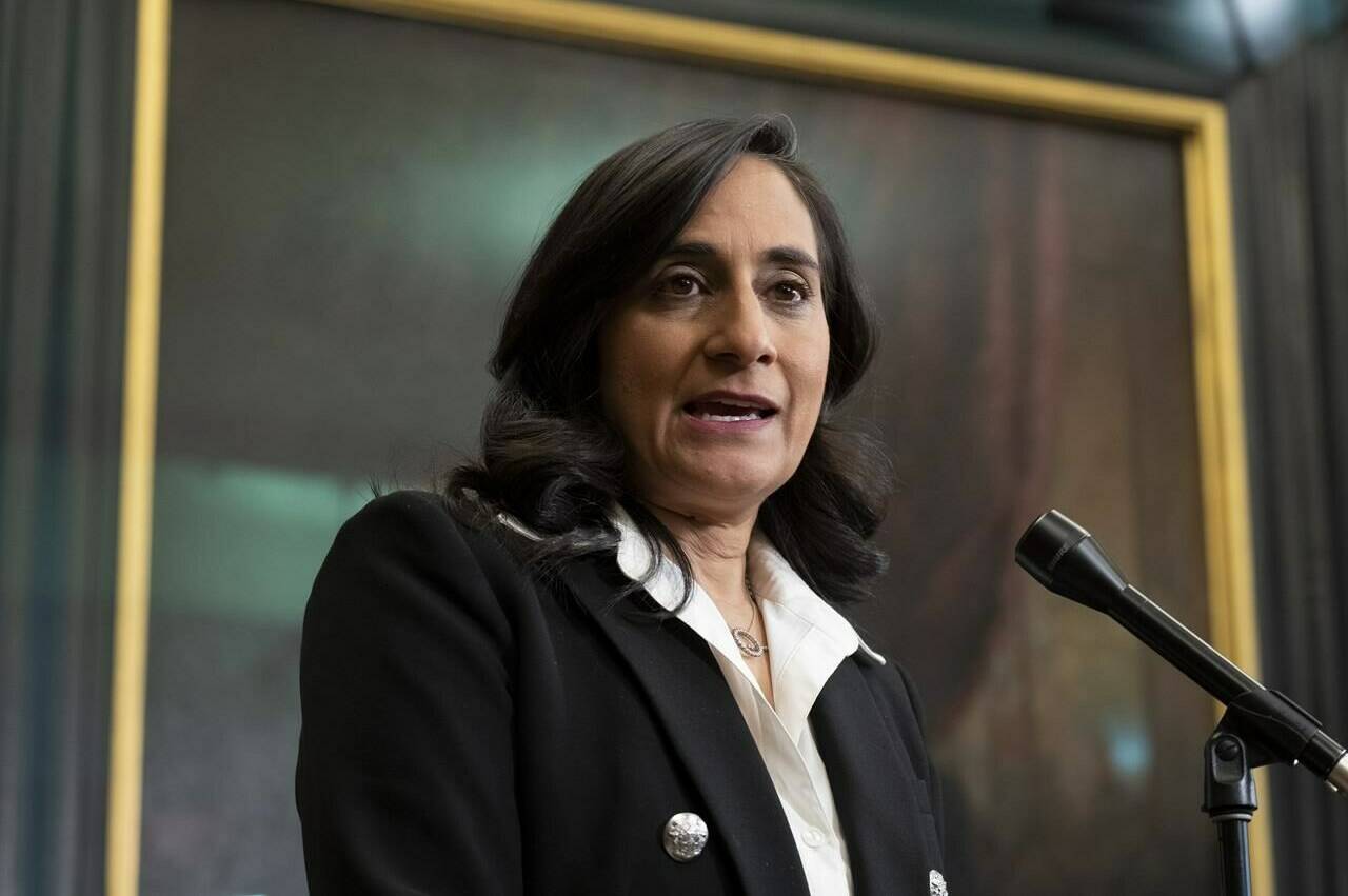 Defence Minister Anita Anand speaks with reporters before attending Question Period, in Ottawa, Monday, Nov. 14, 2022. THE CANADIAN PRESS/Adrian Wyld