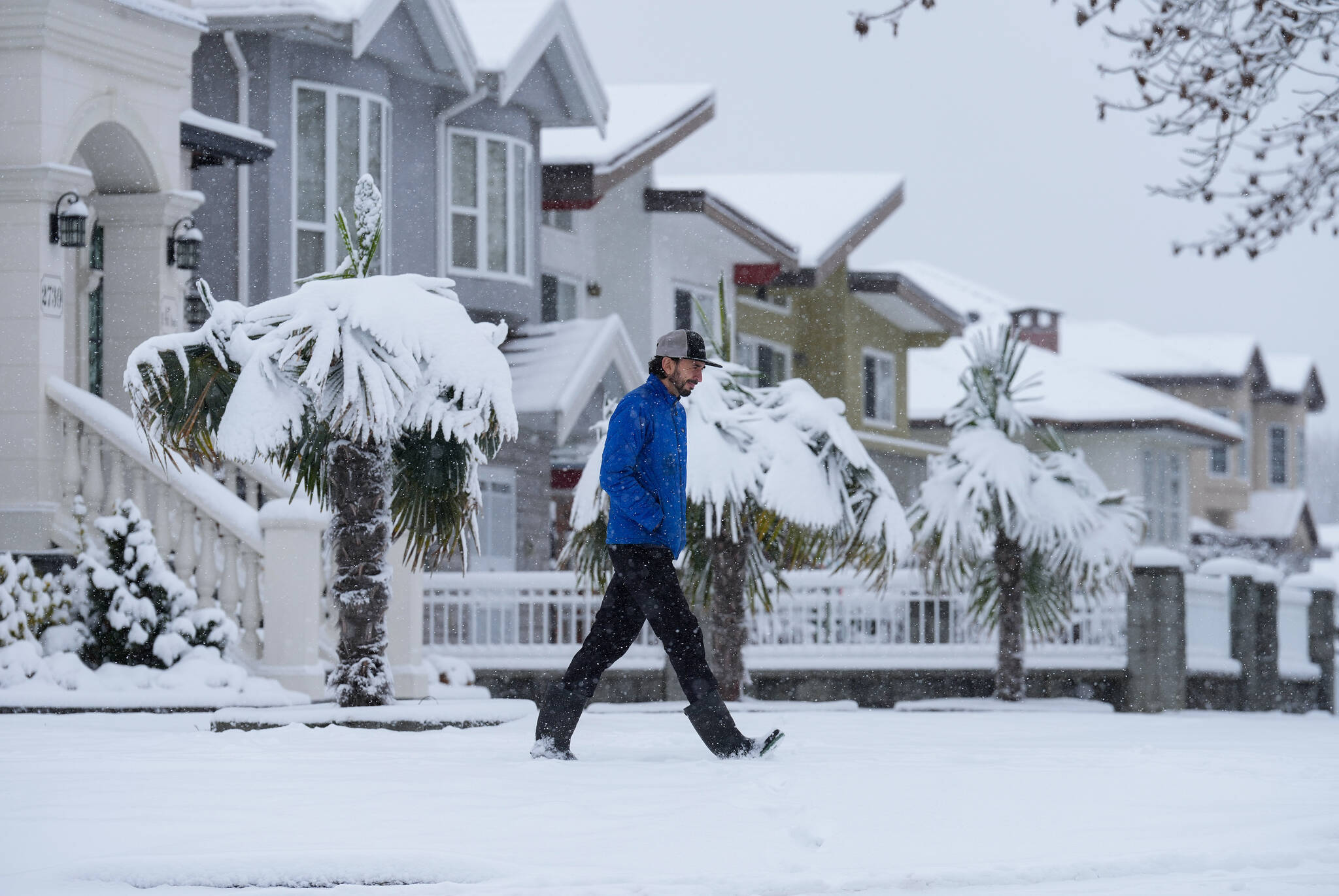 A pedestrian walks past snow-covered palm trees in Vancouver, on Sunday, December 18, 2022. Temperature are dropping to dangerously cold extremes in some regions of British Columbia as snowfall send tires spinning in parts of Metro Vancouver. Environment Canada says wind chill values are dropping near -40 C or colder in the Chilcotin, Cariboo, Prince George and other central B.C. communities. THE CANADIAN PRESS/Darryl Dyck